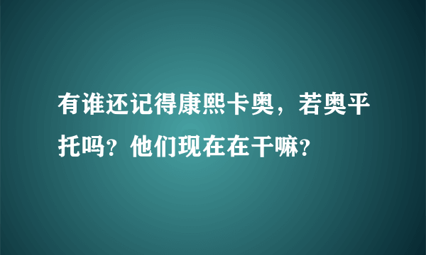 有谁还记得康熙卡奥，若奥平托吗？他们现在在干嘛？