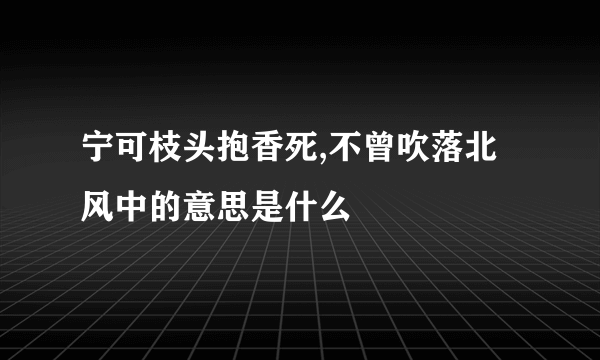 宁可枝头抱香死,不曾吹落北风中的意思是什么