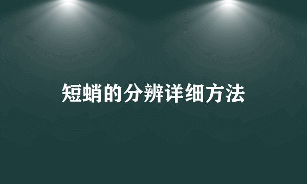 短蛸的分辨详细方法