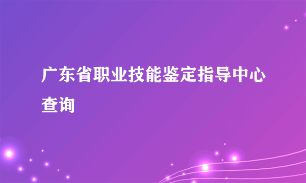 广东省职业技能鉴定指导中心查询