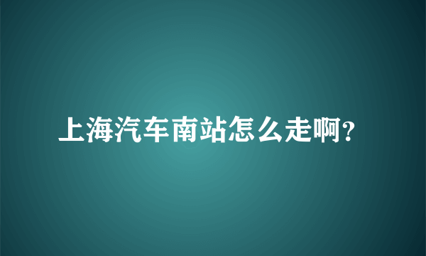 上海汽车南站怎么走啊？