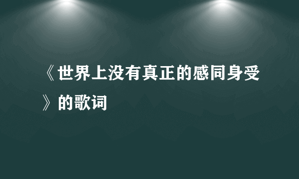 《世界上没有真正的感同身受》的歌词