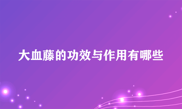 大血藤的功效与作用有哪些