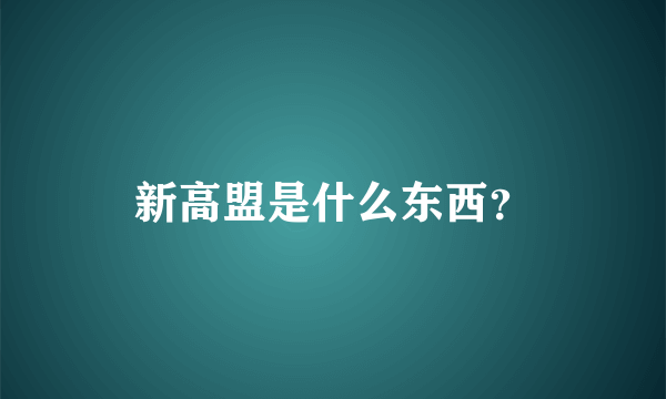 新高盟是什么东西？