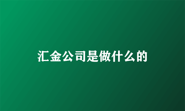 汇金公司是做什么的