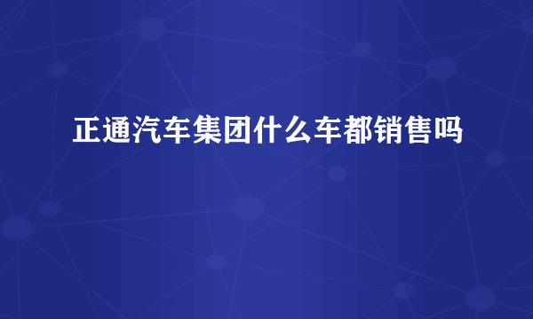 正通汽车集团什么车都销售吗