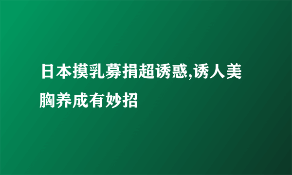 日本摸乳募捐超诱惑,诱人美胸养成有妙招