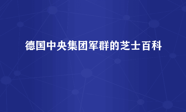 德国中央集团军群的芝士百科