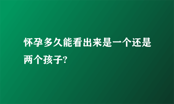 怀孕多久能看出来是一个还是两个孩子?