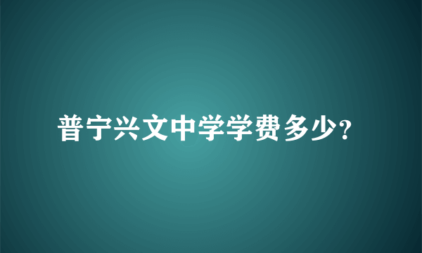 普宁兴文中学学费多少？