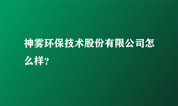 神雾环保技术股份有限公司怎么样？