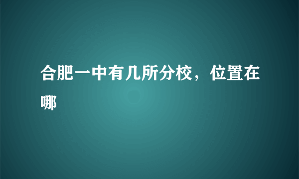 合肥一中有几所分校，位置在哪