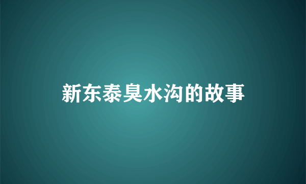 新东泰臭水沟的故事