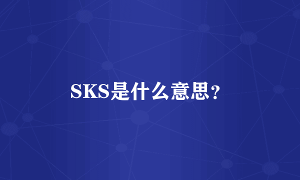 SKS是什么意思？