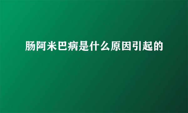 肠阿米巴病是什么原因引起的