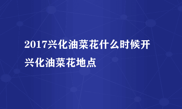 2017兴化油菜花什么时候开 兴化油菜花地点