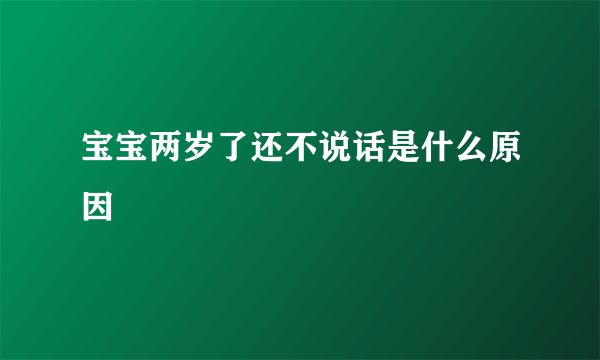 宝宝两岁了还不说话是什么原因