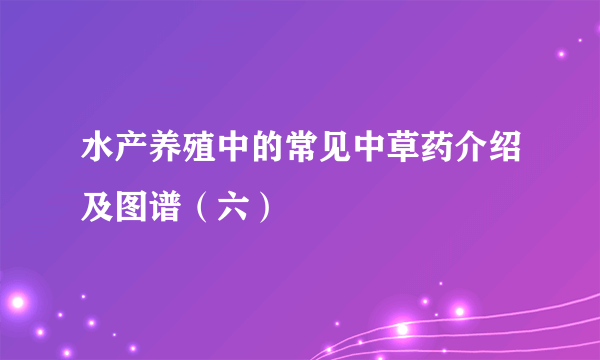 水产养殖中的常见中草药介绍及图谱（六）