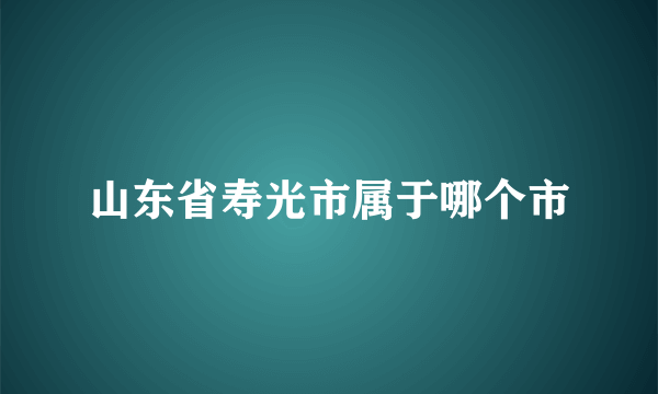 山东省寿光市属于哪个市