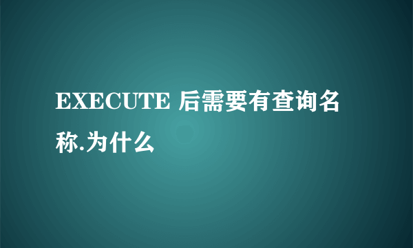 EXECUTE 后需要有查询名称.为什么