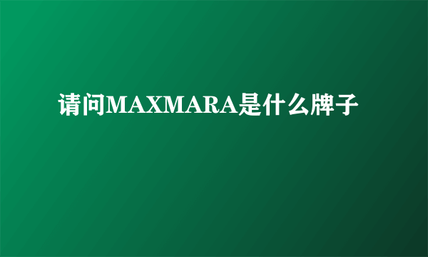 请问MAXMARA是什么牌子