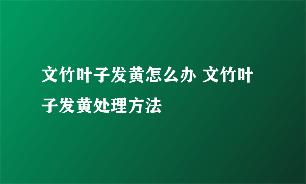 文竹叶子发黄怎么办 文竹叶子发黄处理方法