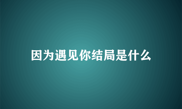 因为遇见你结局是什么