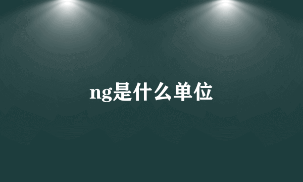 ng是什么单位