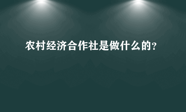 农村经济合作社是做什么的？