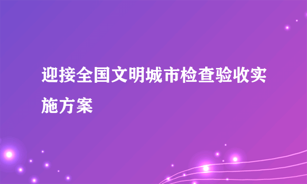 迎接全国文明城市检查验收实施方案