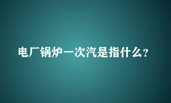 电厂锅炉一次汽是指什么？