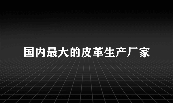 国内最大的皮革生产厂家