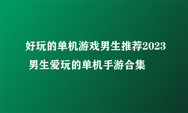 好玩的单机游戏男生推荐2023 男生爱玩的单机手游合集