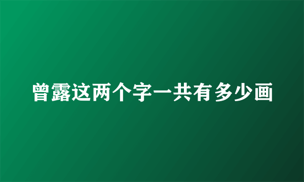 曾露这两个字一共有多少画