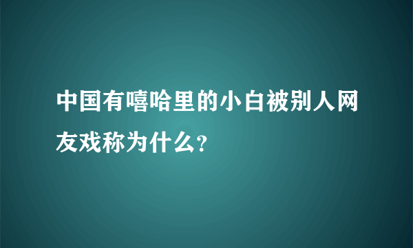 中国有嘻哈里的小白被别人网友戏称为什么？