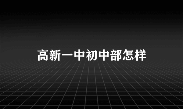 高新一中初中部怎样