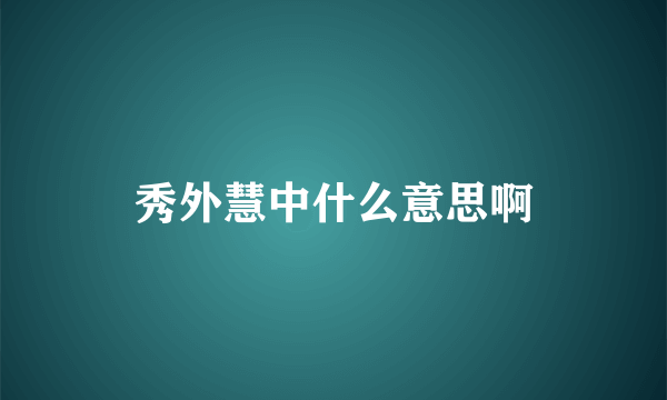 秀外慧中什么意思啊