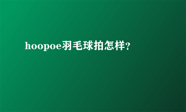 hoopoe羽毛球拍怎样？