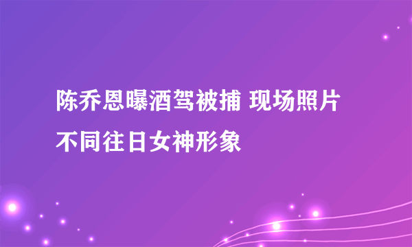 陈乔恩曝酒驾被捕 现场照片不同往日女神形象