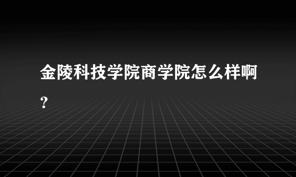 金陵科技学院商学院怎么样啊？