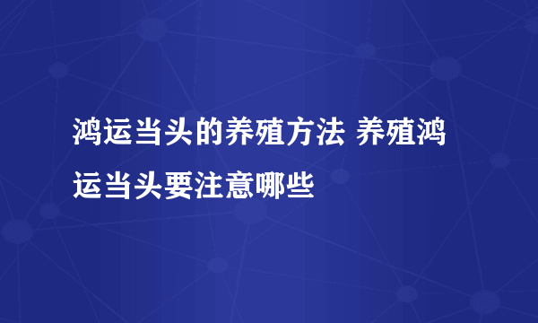 鸿运当头的养殖方法 养殖鸿运当头要注意哪些