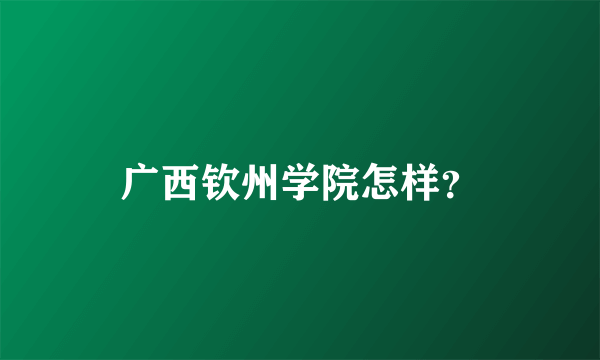 广西钦州学院怎样？