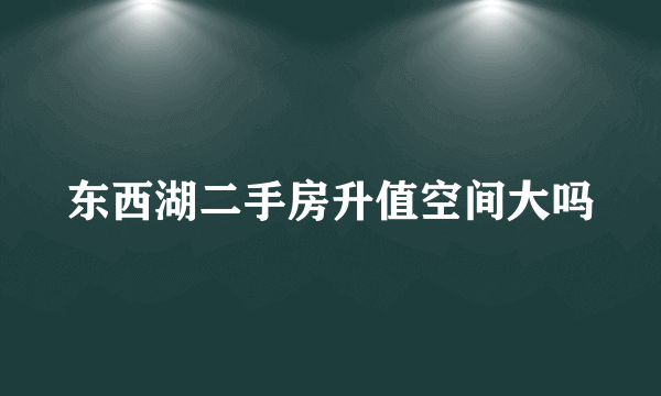 东西湖二手房升值空间大吗