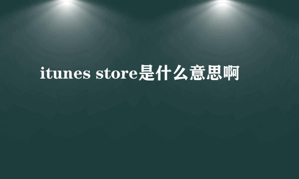 itunes store是什么意思啊