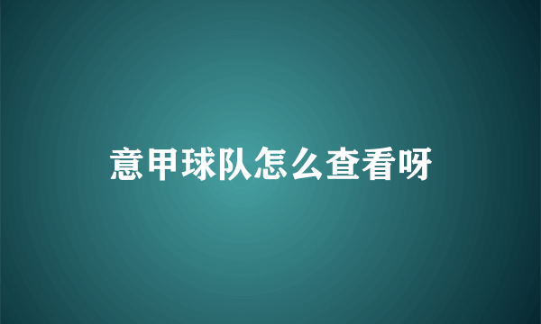 意甲球队怎么查看呀