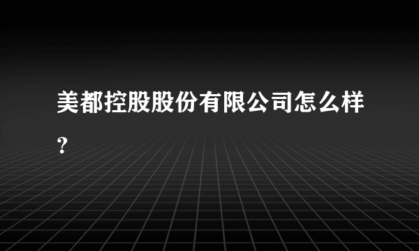 美都控股股份有限公司怎么样？