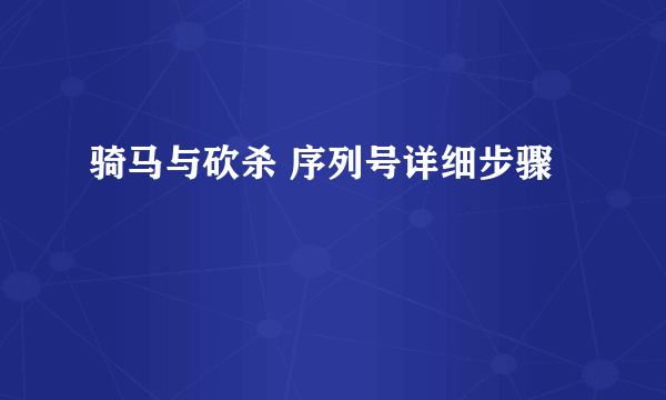 骑马与砍杀 序列号详细步骤