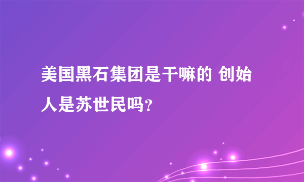 美国黑石集团是干嘛的 创始人是苏世民吗？