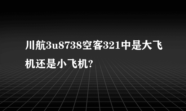 川航3u8738空客321中是大飞机还是小飞机?