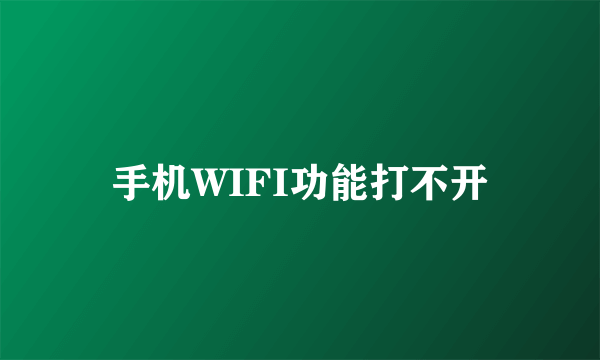 手机WIFI功能打不开